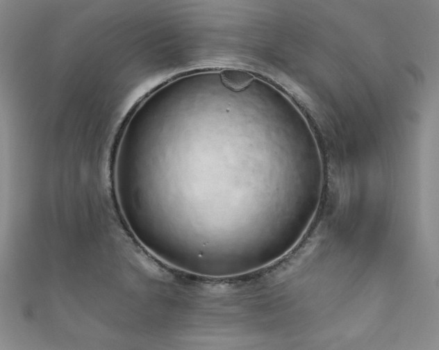 X0000111881230200907231528