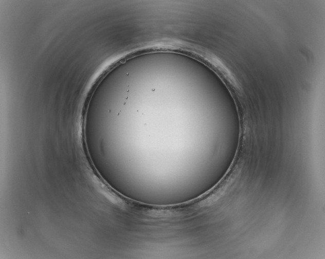 X0000111881232200907231528