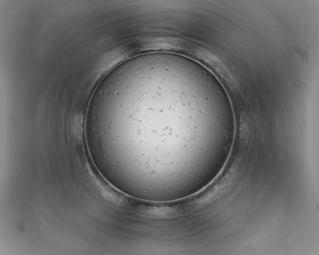 X0000111881233200907231528
