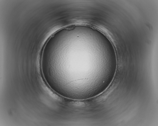 X0000111881235200907231528