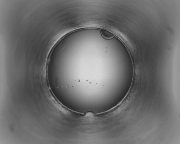X0000111881236200907231528