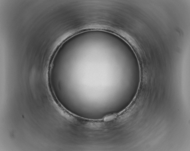 X0000111881237200907231528