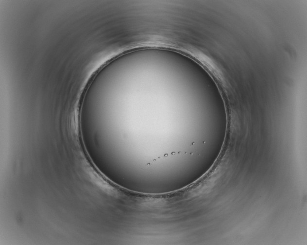 X0000111881238200907231528