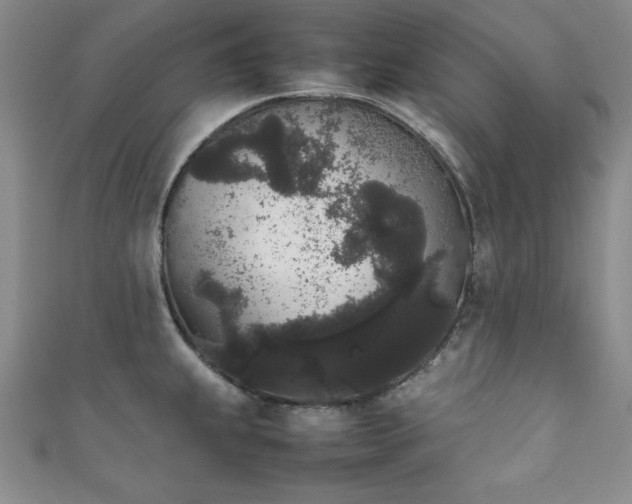 X0000111881239200907231528