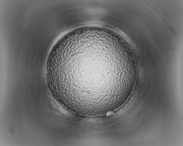 X0000111881240200907231528