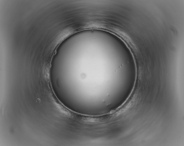 X0000111881241200907231528