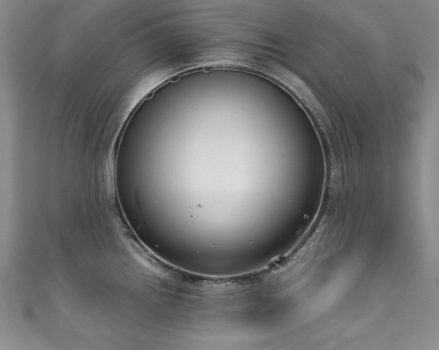 X0000111881242200907231528