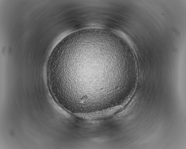 X0000111881243200907231528