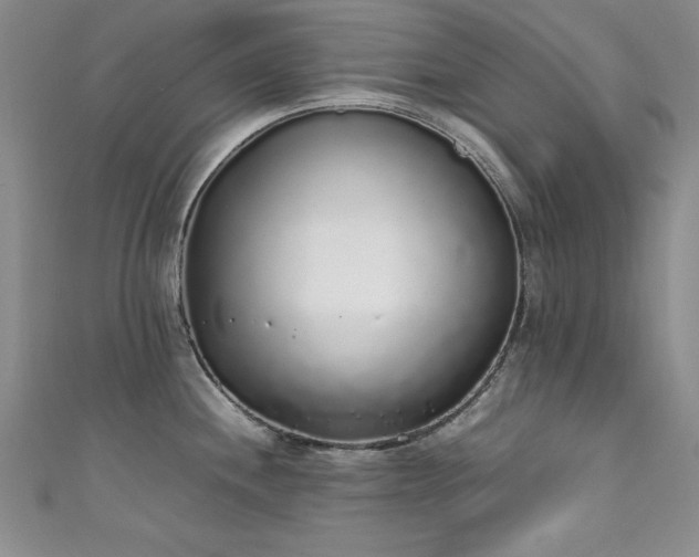 X0000111881244200907231528
