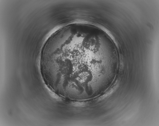 X0000111881245200907231528