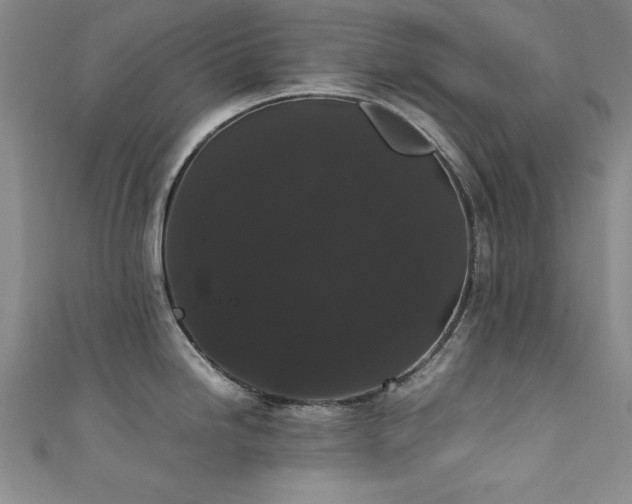 X0000111881246200907231528