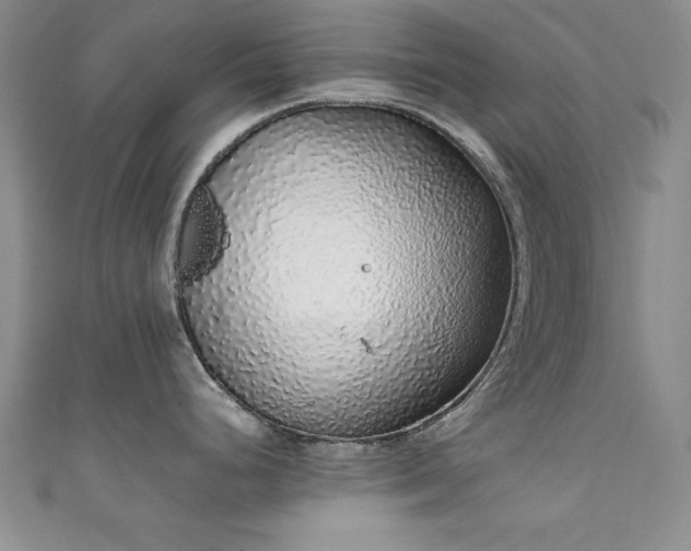 X0000111881248200907231528
