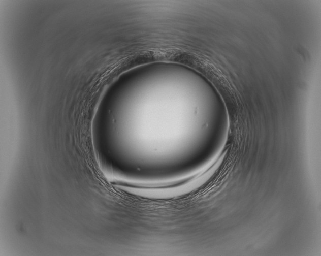 X0000111881249200907231528