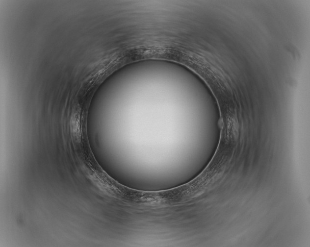 X0000111881250200907231528