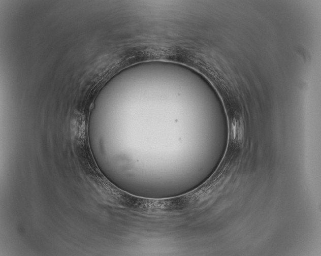 X0000111881251200907231528