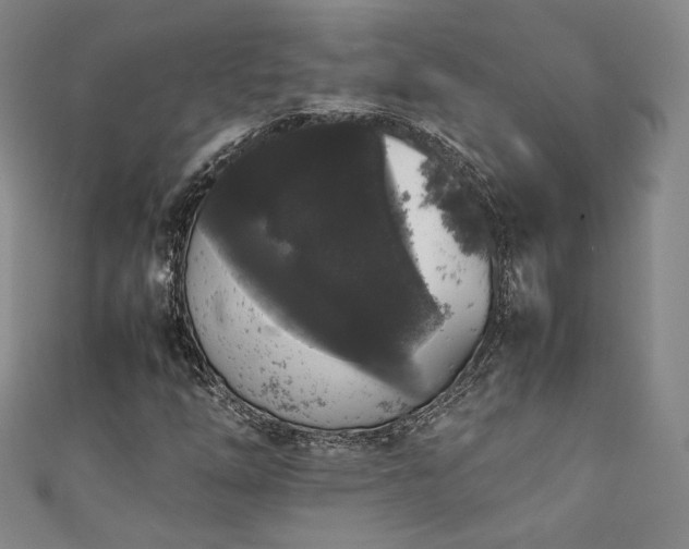 X0000111881254200907231528