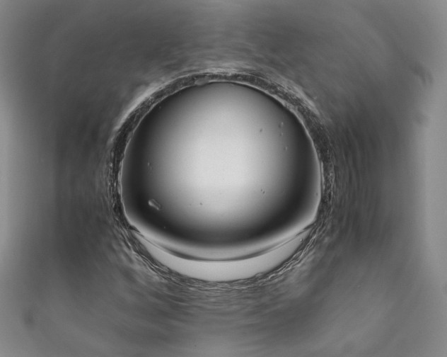 X0000111881256200907231528