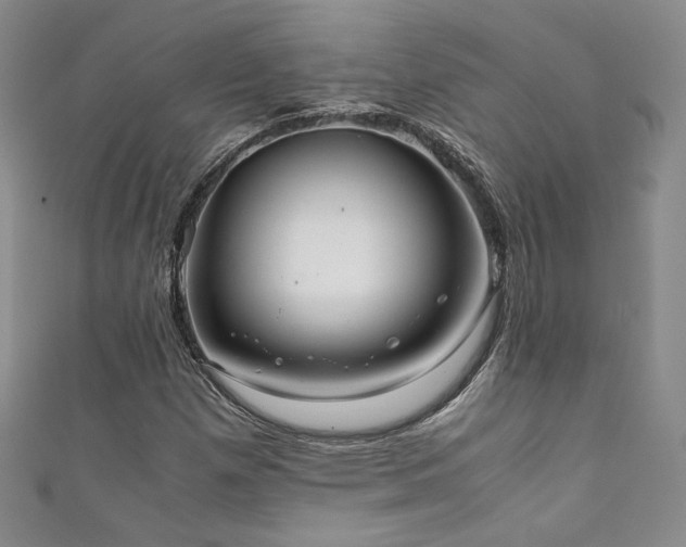 X0000111881257200907231528