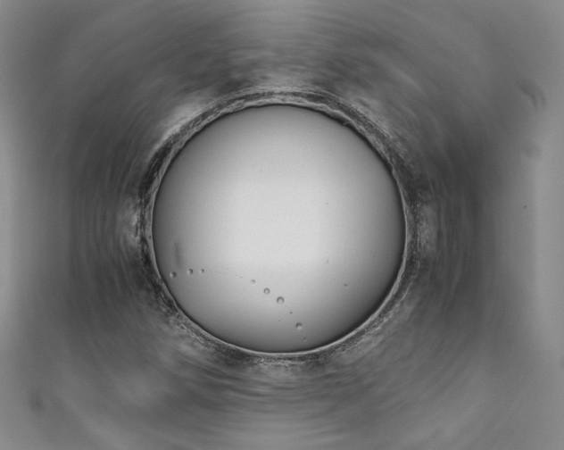 X0000111881258200907231527