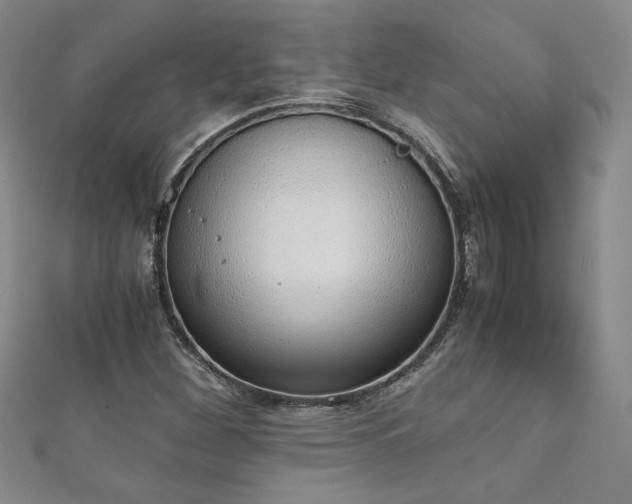 X0000111881260200907231527