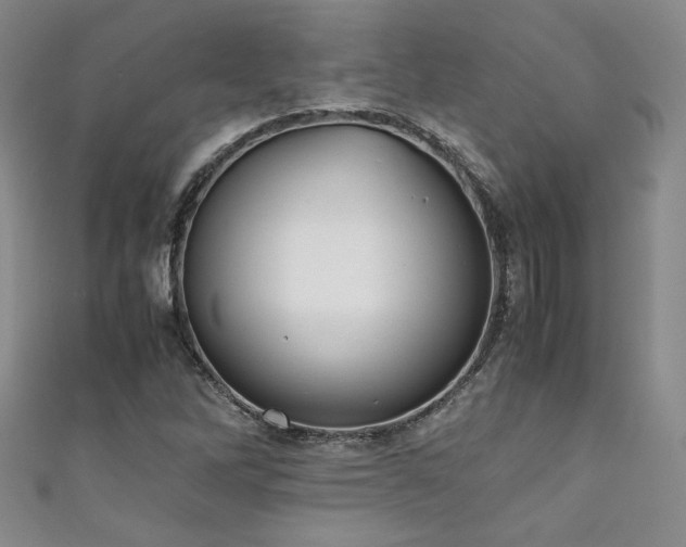X0000111881262200907231527