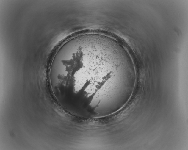 X0000111881263200907231527