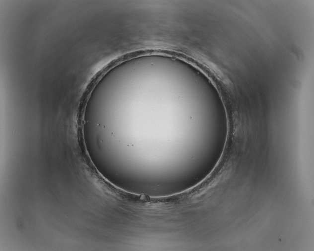 X0000111881264200907231527