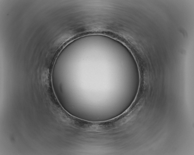 X0000111881265200907231527