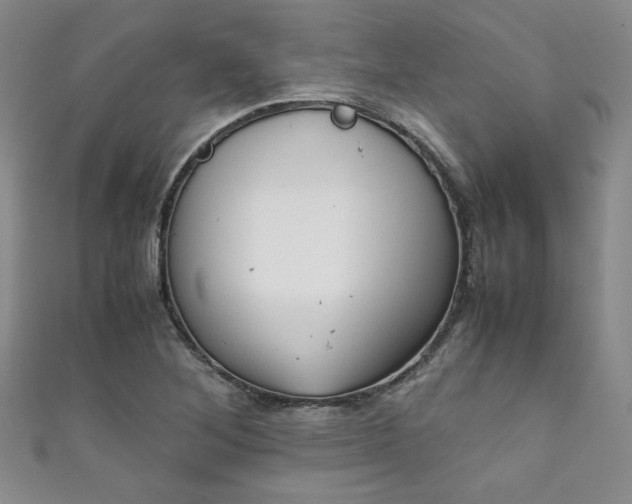X0000111881268200907231527