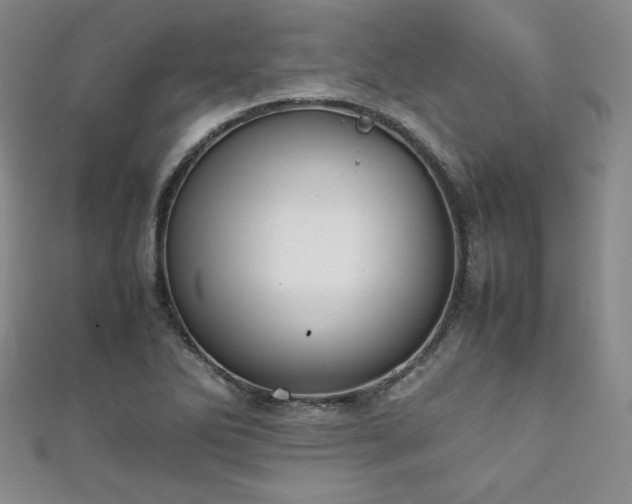 X0000111881270200907231527