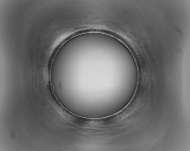 X0000111881271200907231527