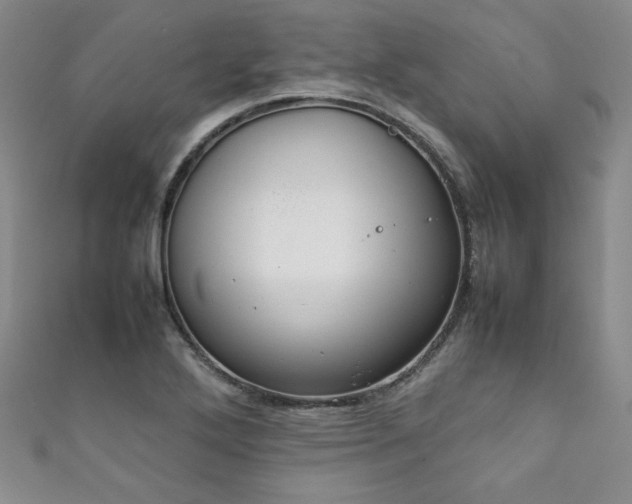 X0000111881272200907231527