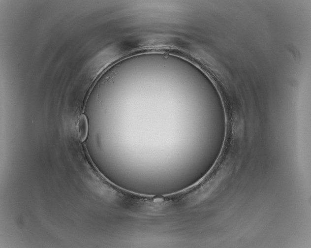 X0000111881273200907231527