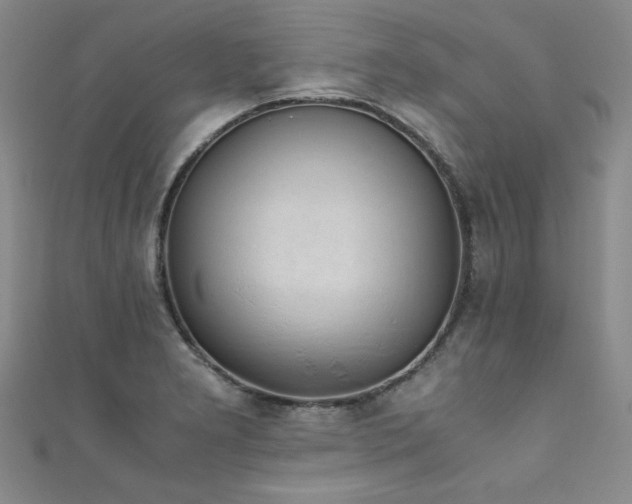 X0000111881277200907231527