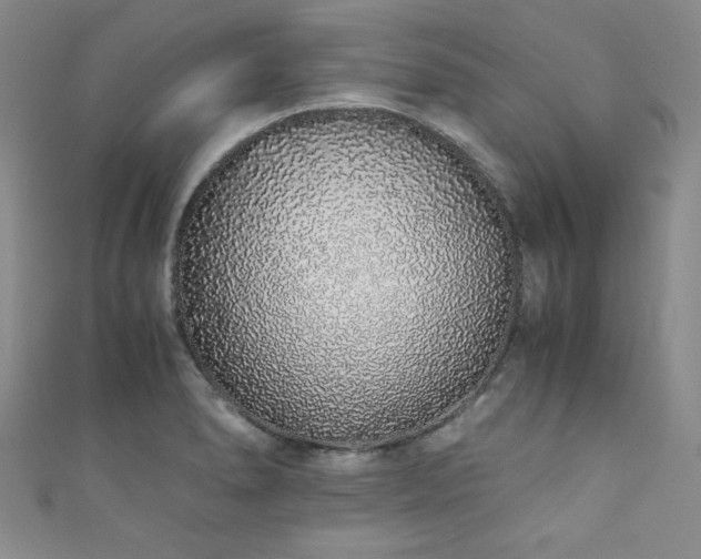 X0000111881278200907231527
