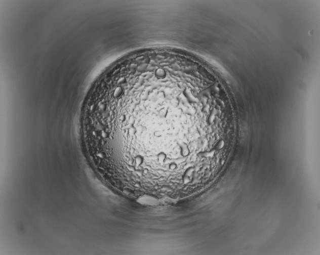 X0000111881279200907231527