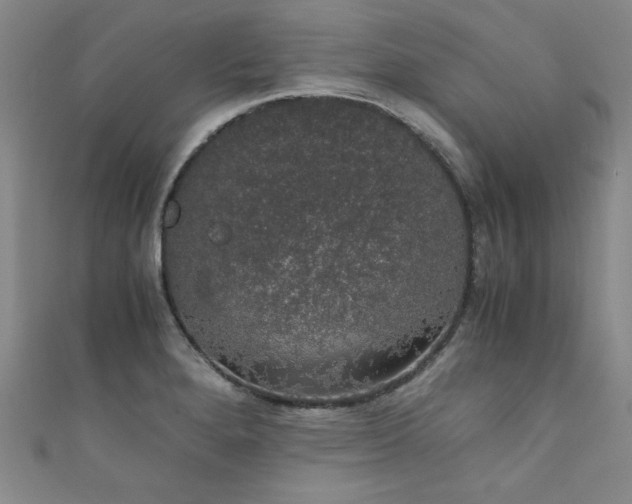 X0000111881280200907231527