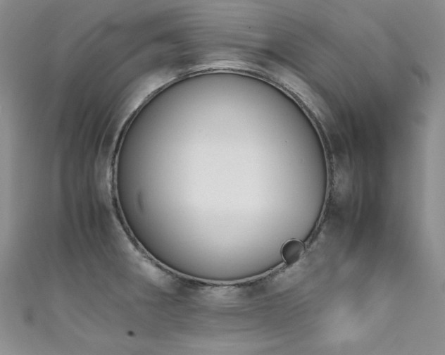 X0000111881282200907231527