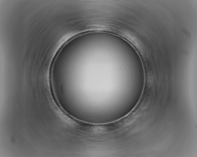 X0000111881283200907231527
