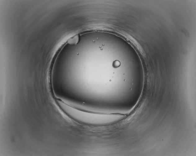 X0000111881285200907231527
