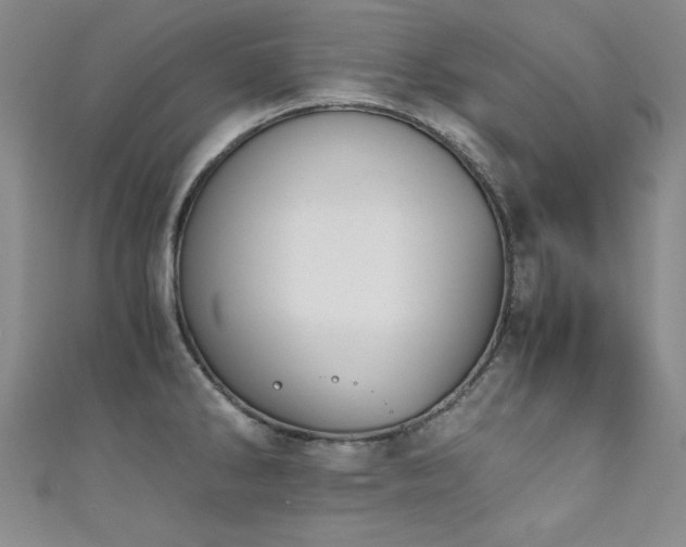 X0000111881286200907231527