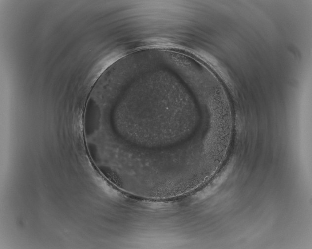X0000111881289200907231527