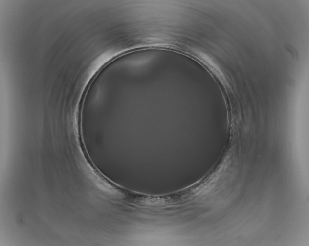 X0000111881291200907231527
