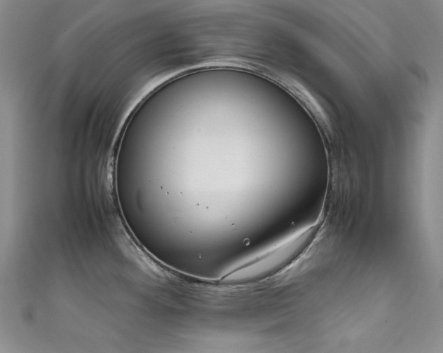 X0000111881292200907231527