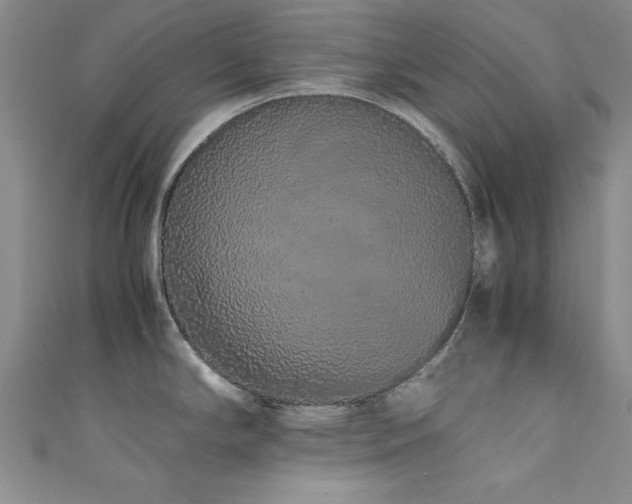 X0000111881294200907231527