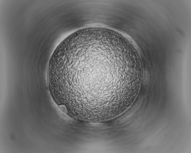 X0000111881295200907231527