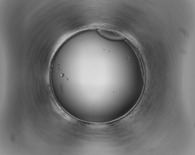 X0000111881296200907231527
