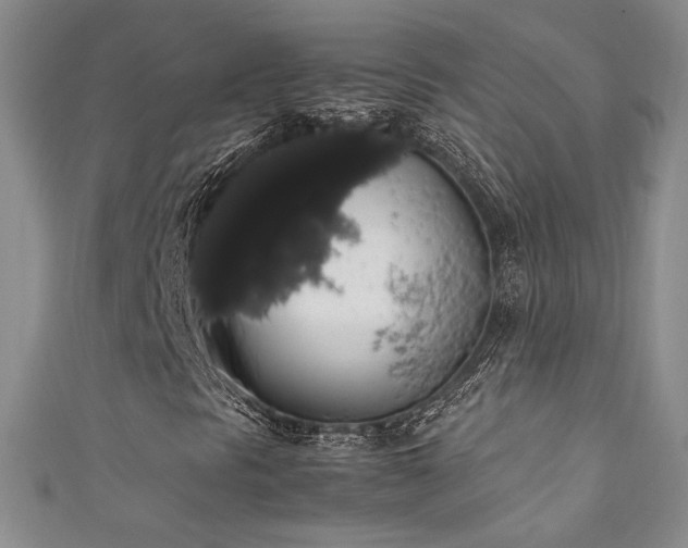 X0000111881297200907231526