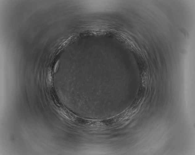 X0000111881298200907231526