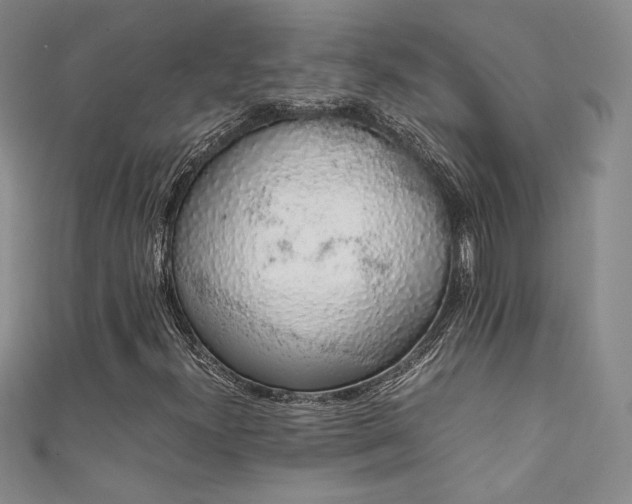 X0000111881300200907231526